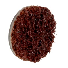 A Scotch-Brite™ Roloc™ Precision Surface Conditioning Disc, PN-DS, Coarse, TS, 3/4 IN