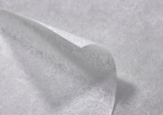 1-Fibril-Detail.jpg