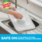 Scotch-Brite Hand and Nail Brush Enhanced Image Safe on.jpg