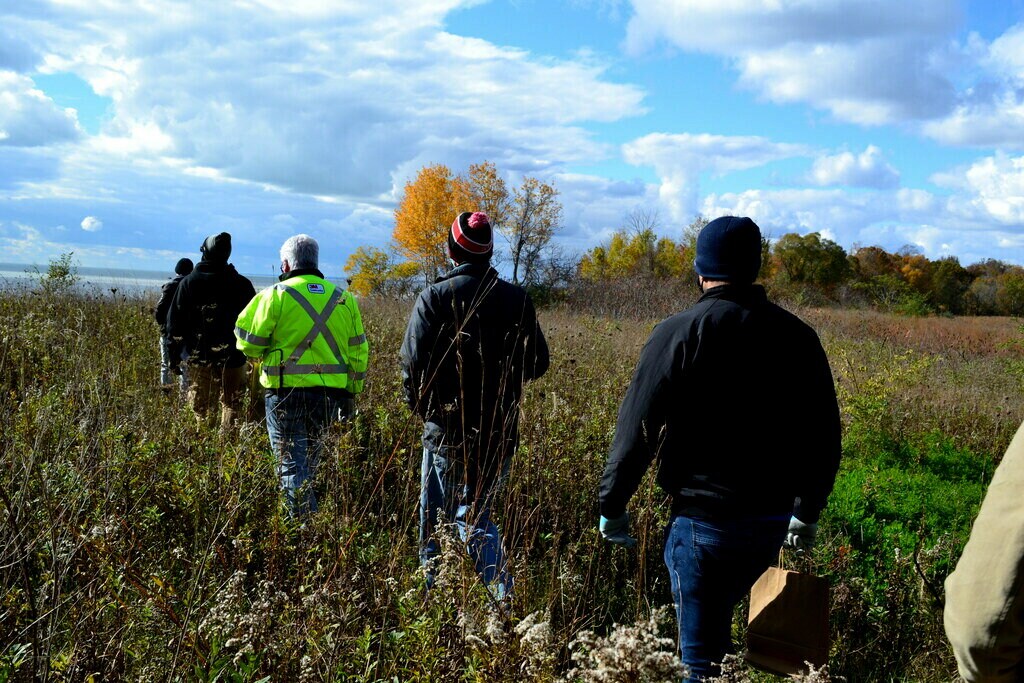 Five 3M™gives volunteers walk with their backs to the camera, in a single file line through long grass.