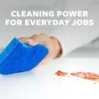 Scotch-Brite® Non-Scratch Scrub Sponge B Plus Content