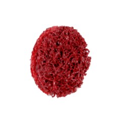 A Scotch-Brite™ Roloc™ Precision Surface Conditioning Disc, PN-DR, Medium, TR, 3/4 IN