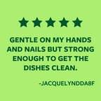 Scotch-Brite™ Non-Scratch Dishwand Review