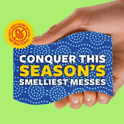 Scotch-Brite® Stay Fresh Conquer Smelly Messes