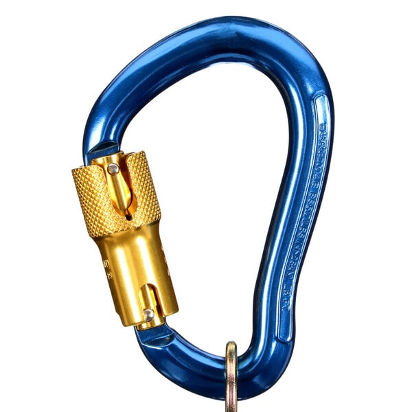 ™ DBI-SALA Self-Closing/Locking Carabiner 2000025