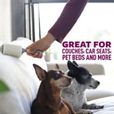 scotch-brite-pet-lint-roller-great-for.jpg