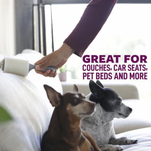 Best practices to remove pet hair from turf