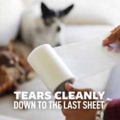 Pick up fluff and other stuff with the Scotch-Brite™ Pet Hair Pickup Lint Roller. Perfect for clearing fur from clothes, furniture, pillows, rugs, and more. From couches, to car seats, to carpet, this pet lint roller is an essential tool for all pet parents. Whether your dog tracked in dirt, or you took a tumble in your Calico's cat bed, these lint rollers for clothes are 50% stickier than the standard Scotch-Brite™ Lint Roller.