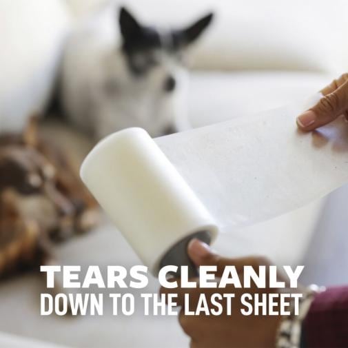 Frequently Asked Questions of Can a turf vacuum pick up pet hair?