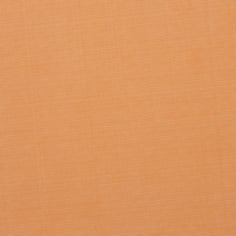 closeup.tif