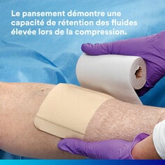 Le pansement démontre une capacité de rétention des fluides élevée lors de la compression