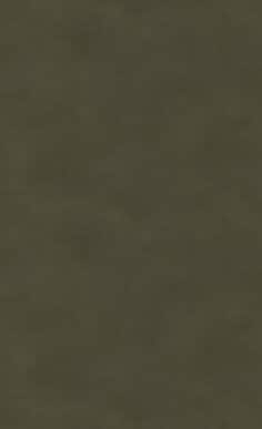 ME-2555_LA