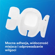 Bezpieczna przyczepność, widoczność terenu i zarządzanie wilgocią