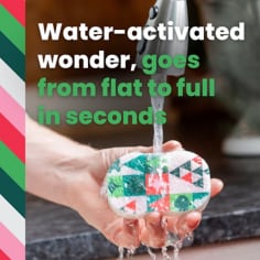 Merry + Brite Collection: Pop-up Sponge Water Activated - B+ Image