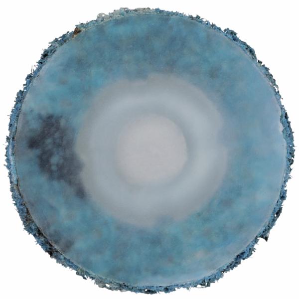 Scotch-Brite Roloc Surface Conditioning Disc