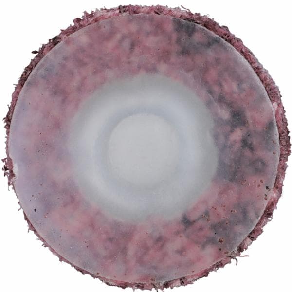 Scotch-Brite Roloc Surface Conditioning Disc