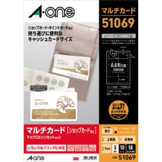 A-one Multi Card 51069