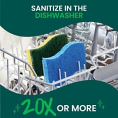 Scotch-Brite Heavy Duty Scrub Sponge, Sanitize