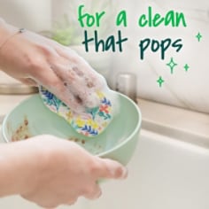 Scotch-Brite® Pop Up Kitchen Sponges, For a clean that pops