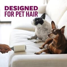 Pick up fluff and other stuff with the Scotch-Brite™ Pet Hair Pickup Lint Roller. Perfect for clearing fur from clothes, furniture, pillows, rugs, and more. From couches, to car seats, to carpet, this pet lint roller is an essential tool for all pet parents. Whether your dog tracked in dirt, or you took a tumble in your Calico's cat bed, these lint rollers for clothes are 50% stickier than the standard Scotch-Brite™ Lint Roller.