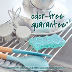 Scotch-Brite Odor Resist Heavy Duty Scrub Sponges, Odor Free Guarantee