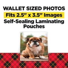 PL903G-SR Scotch™ Self-Sealing Laminating Pouches 2.9 in x 3.8 in (74 mm x 99 mm)
