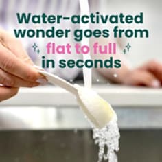 Scotch-Brite® Blooms Pop Up Sponge - Secondary Claim B+