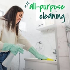 Scotch-Brite® Dobie™ Original Scrubbing Pads - B+ All Purpose