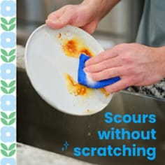 Scotch Brite® Blooms All Purpose Cleaning Pad - Scours
