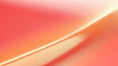 cwf-sp213-satin flip electric coral-swatch.jpg