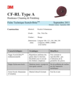 FTFR0911.pdf