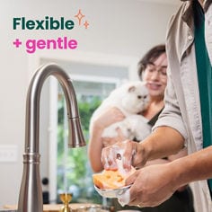 Scotch-Brite Cat Non-Scratch Sponge, NS1-CAT-P25, B+ Image 02