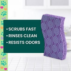 Scotch-Brite®  Pet Odor Resist Non-Scratch Scrub Sponge, 20302-12-P25, B+ Image 01