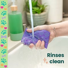 Scotch-Brite®  Pet Odor Resist Non-Scratch Scrub Sponge, 20302-12-P25, B+ Image 03