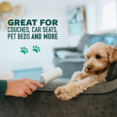 Scotch-Brite™ Lint Roller 836RS-30-P25, B+ Image 02