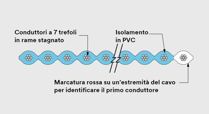 Immagine della sezione trasversale del cavo.