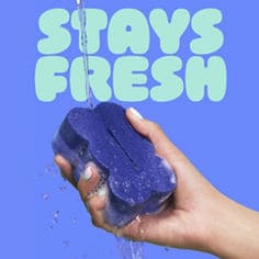 BRiTE by Scotch-Brite® Scrub & Wipe Scrubber & Stand, B+ Image 04