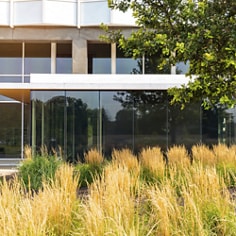 Image of CBT  Building Window Film PDP Main Image Option 14