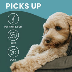 Scotch-Brite™ Loosen and Lift Roller 839T, B+ 02. Enhanced Content, Key Visual.