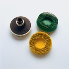 Bristle-Discs.tif