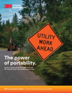 3M(TM) Diamond Grade(TM) RS24 Flyer