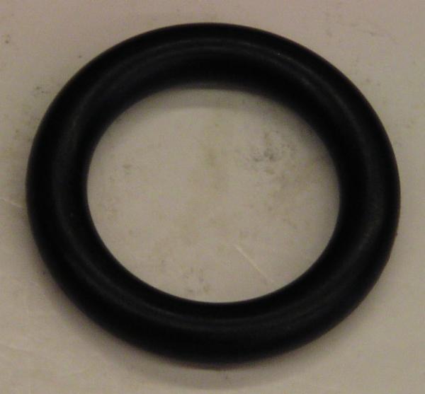 ™ O-Ring 06579