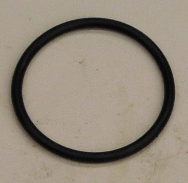 ™ O-Ring 06621