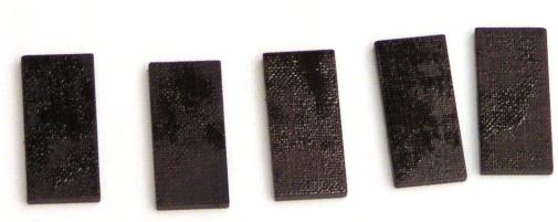 PNA0010.jpg