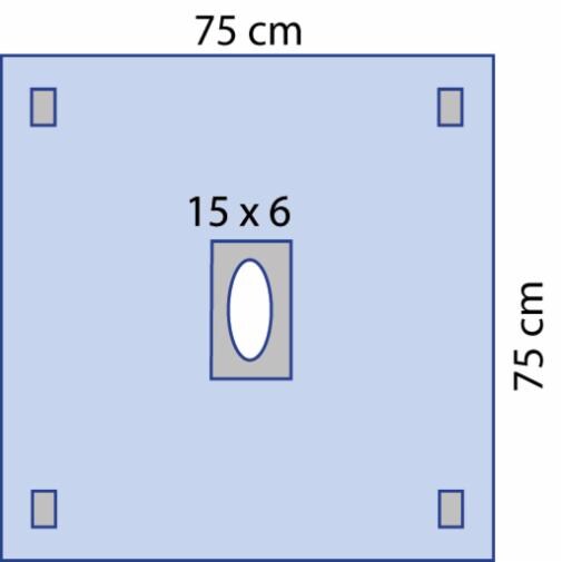 9029.jpg