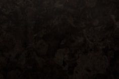 1111.jpg