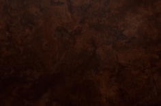 1112-20240707-4279.jpg