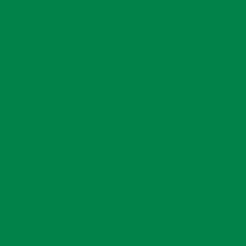 3M™ Scotchcal™ Electrocut™ Graphic Film 100-027