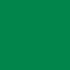 3M(TM) Scotchcal(TM) Graphic Film 50-74 Green - PANTONE(R) 340 C