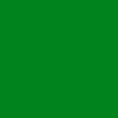 3M(TM) Scotchcal(TM) Graphic Film 50-745 Bright Green - PANTONE(R) 355 C